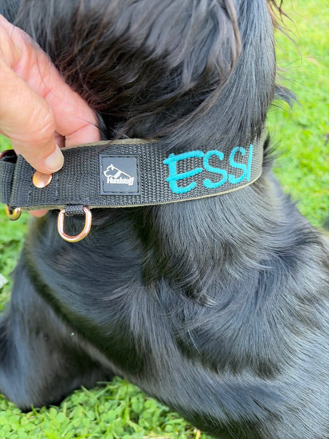 Customer photo review of Martingale halsband med namn