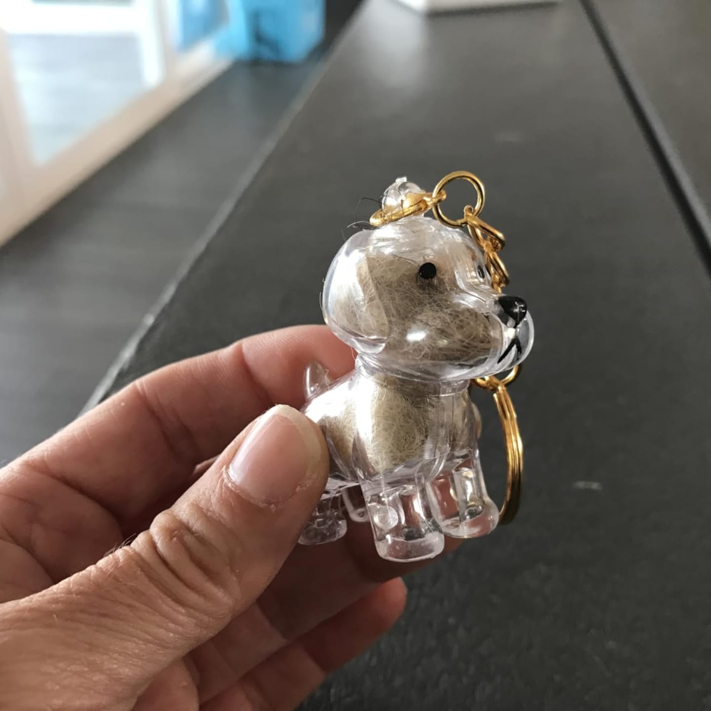Customer photo review of Llavero para guardar pelo de mascota