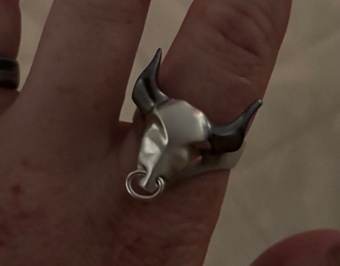 Customer photo review of Bull Ring