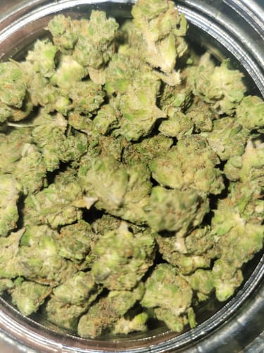 Peanut Butter Cup Minis - Bulk Minis - Indica photo review
