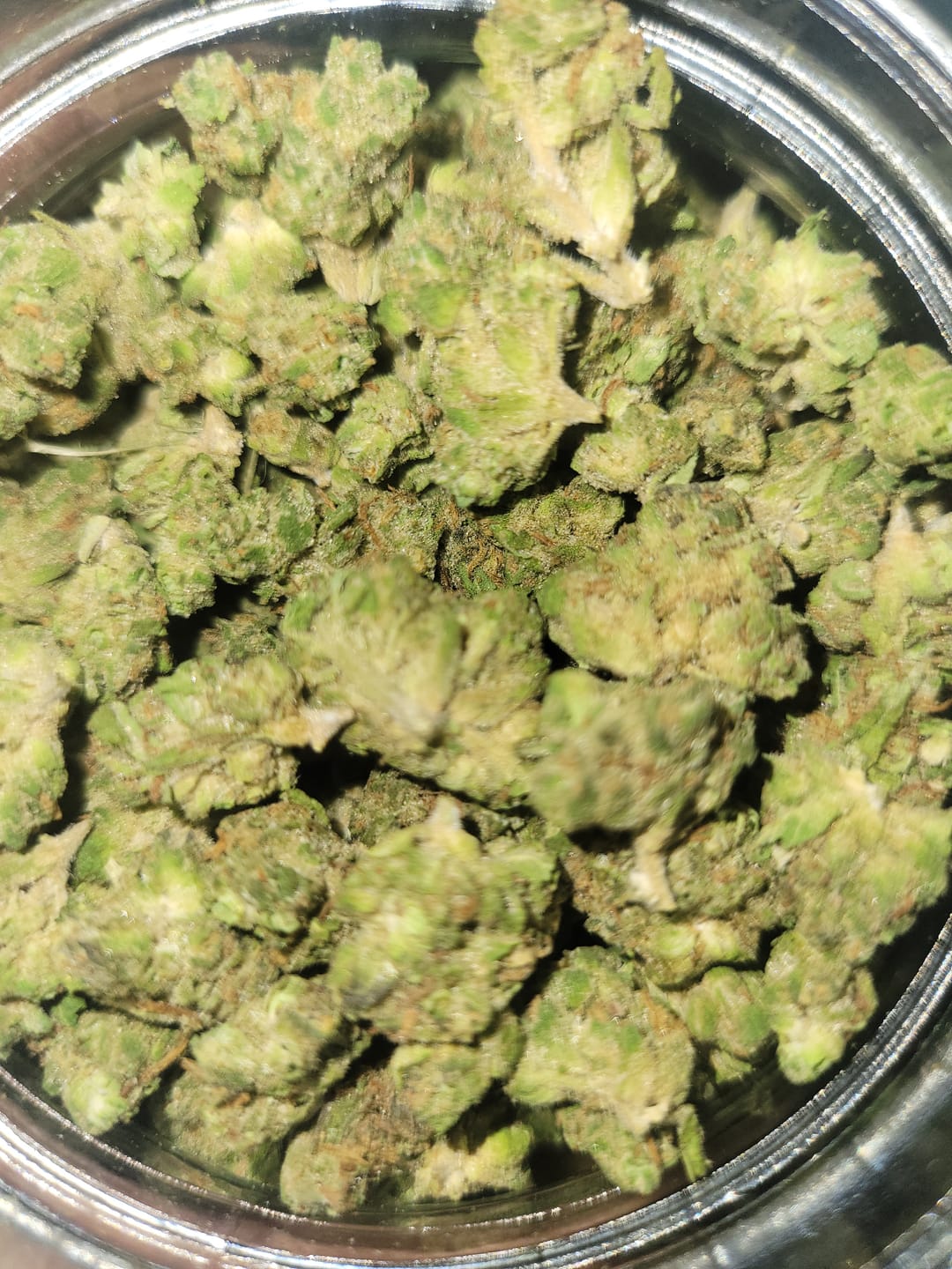 Customer photo review of Peanut Butter Cup Minis - Bulk Minis - Indica