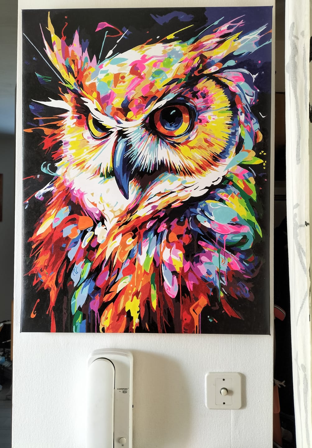 Customer photo review of Hibou Coloré Abstrait