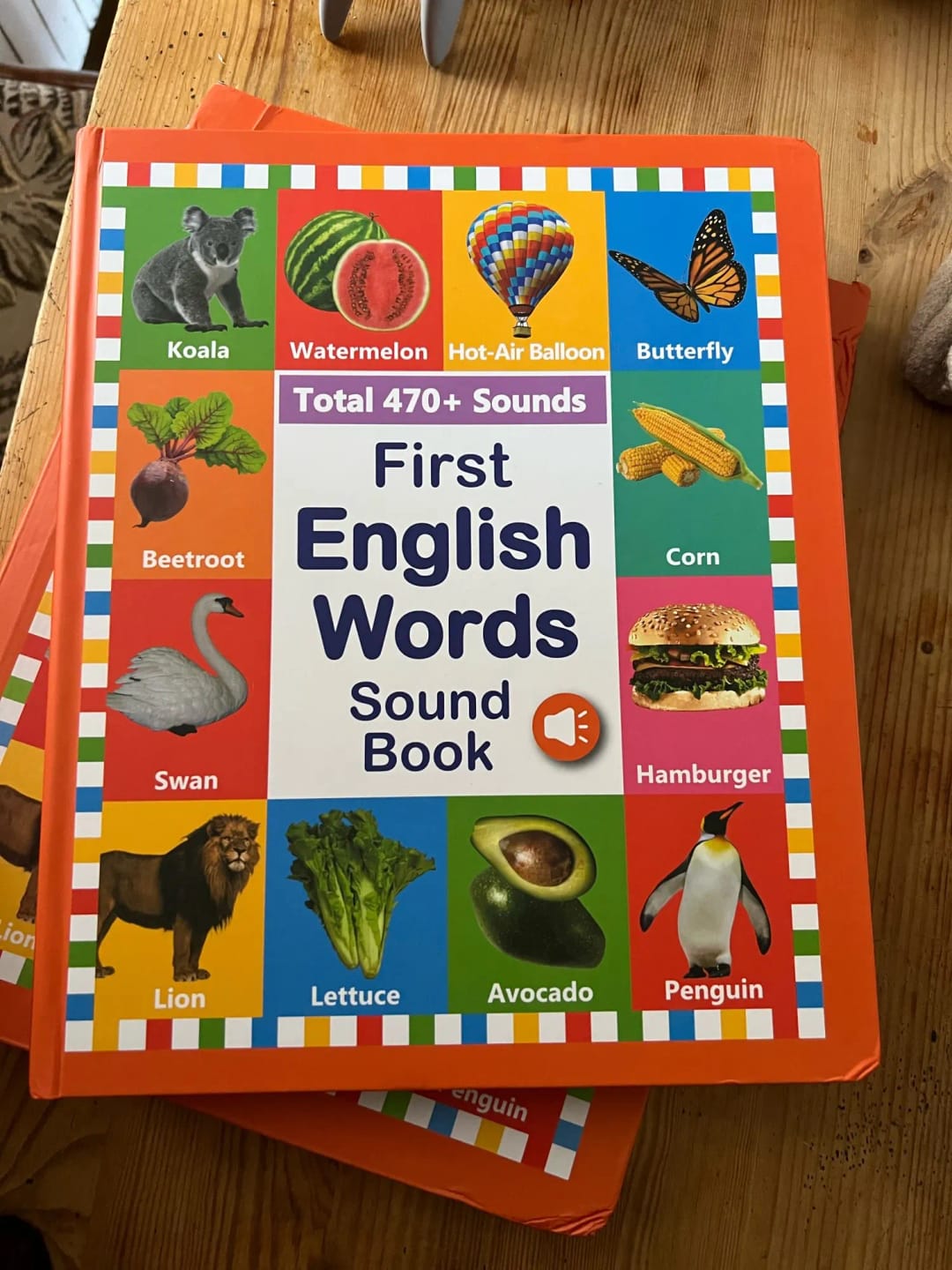 Customer photo review of Premium Educational Sound Book