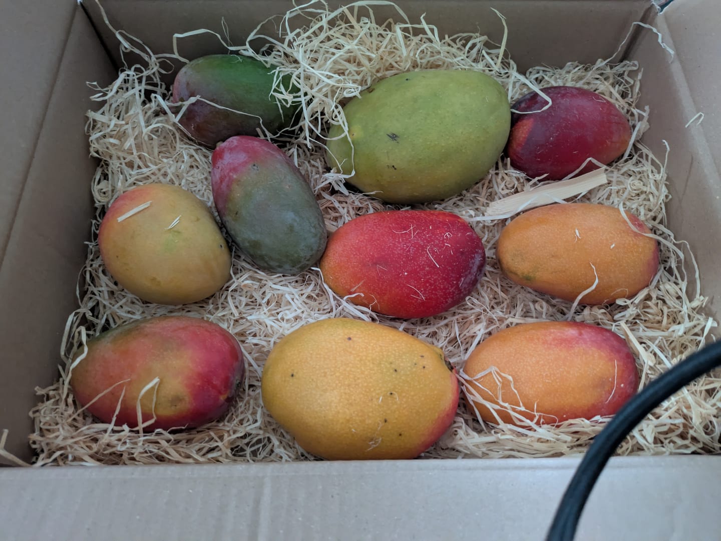Customer photo review of Mango Irwin Edelsorte Bio von Julian