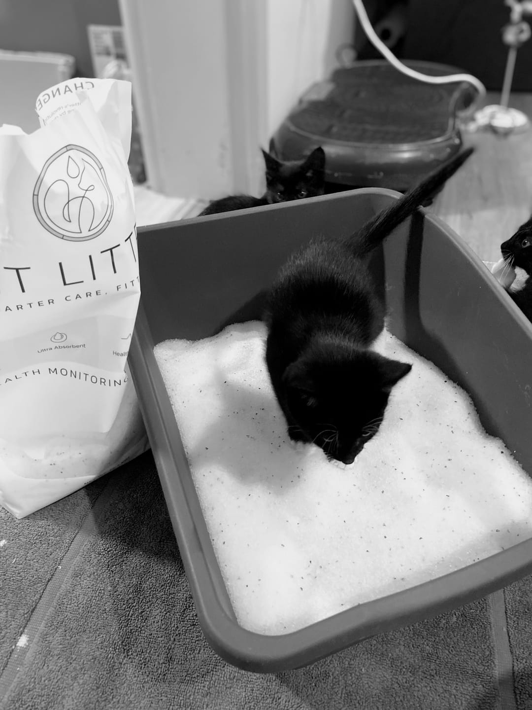 Customer photo review of Fit Litter