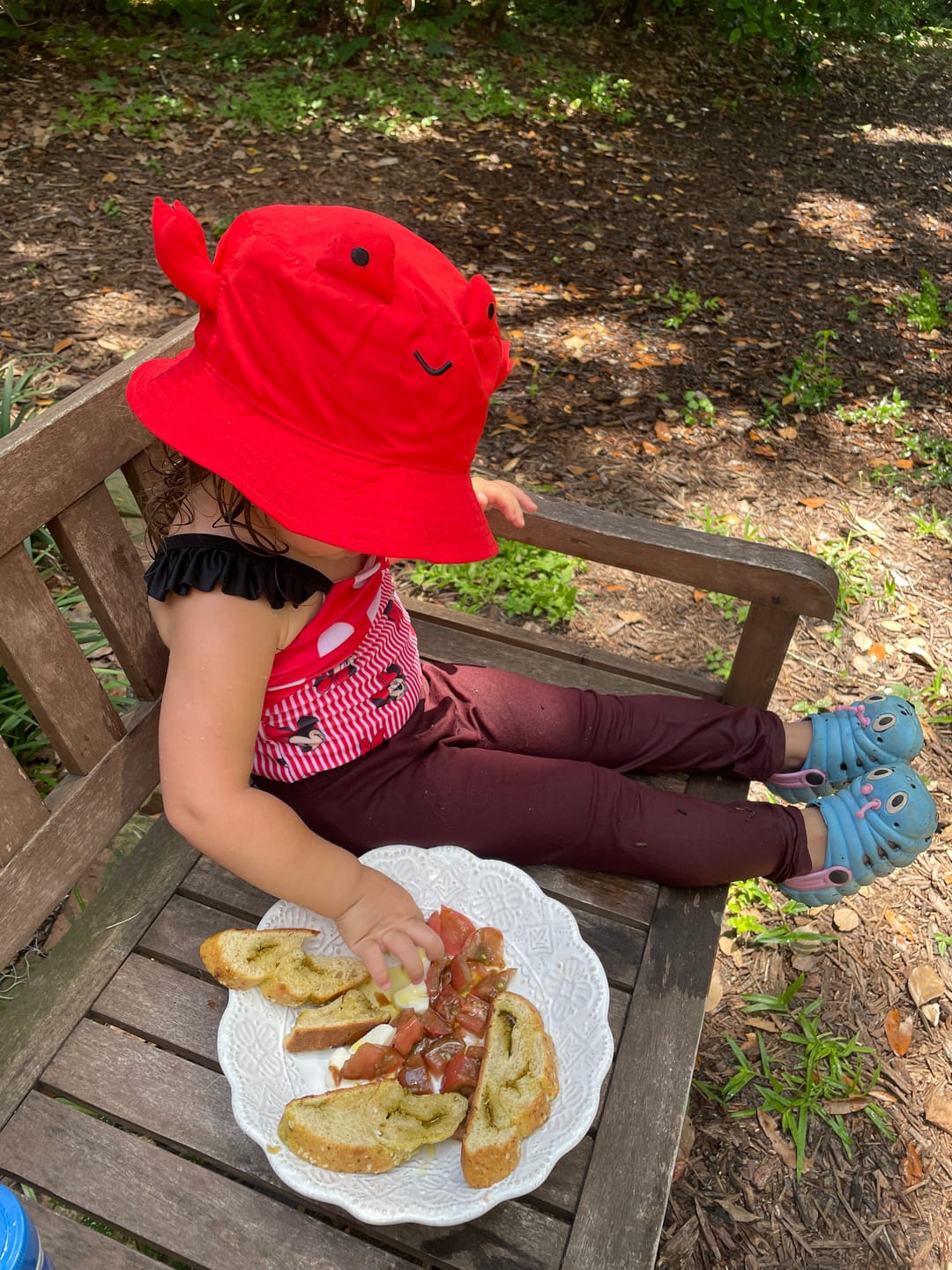 Customer photo review of August Curriculum (Digital)