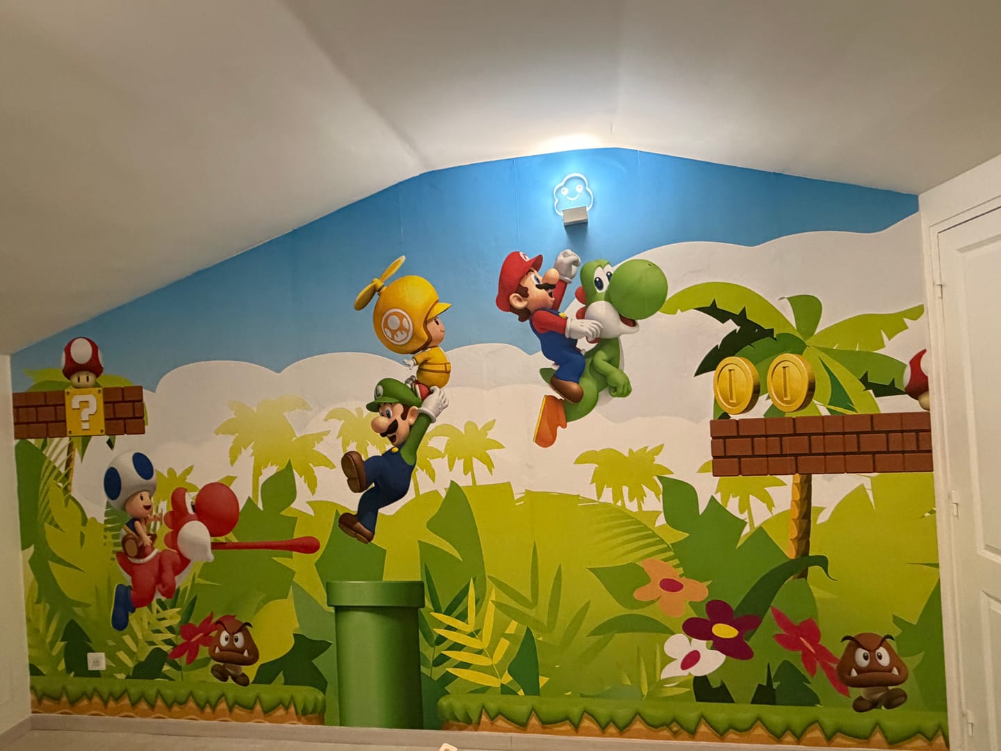 Customer photo review of Papier Peint Super Héros  Mario Bros