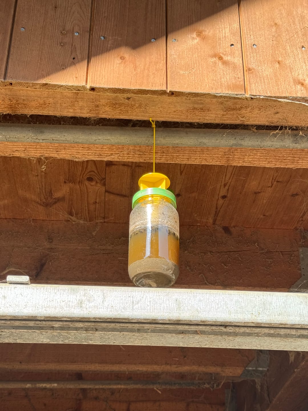 Customer photo review of HorseSafe LiquidTrap – Schluss mit Fliegenstress auf deinem Hof