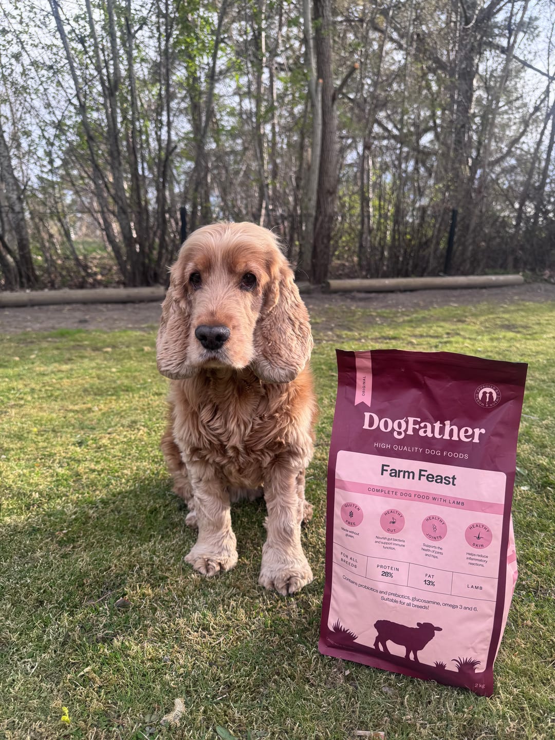 Customer photo review of Hundfoder Lamm & Ris, 11kg