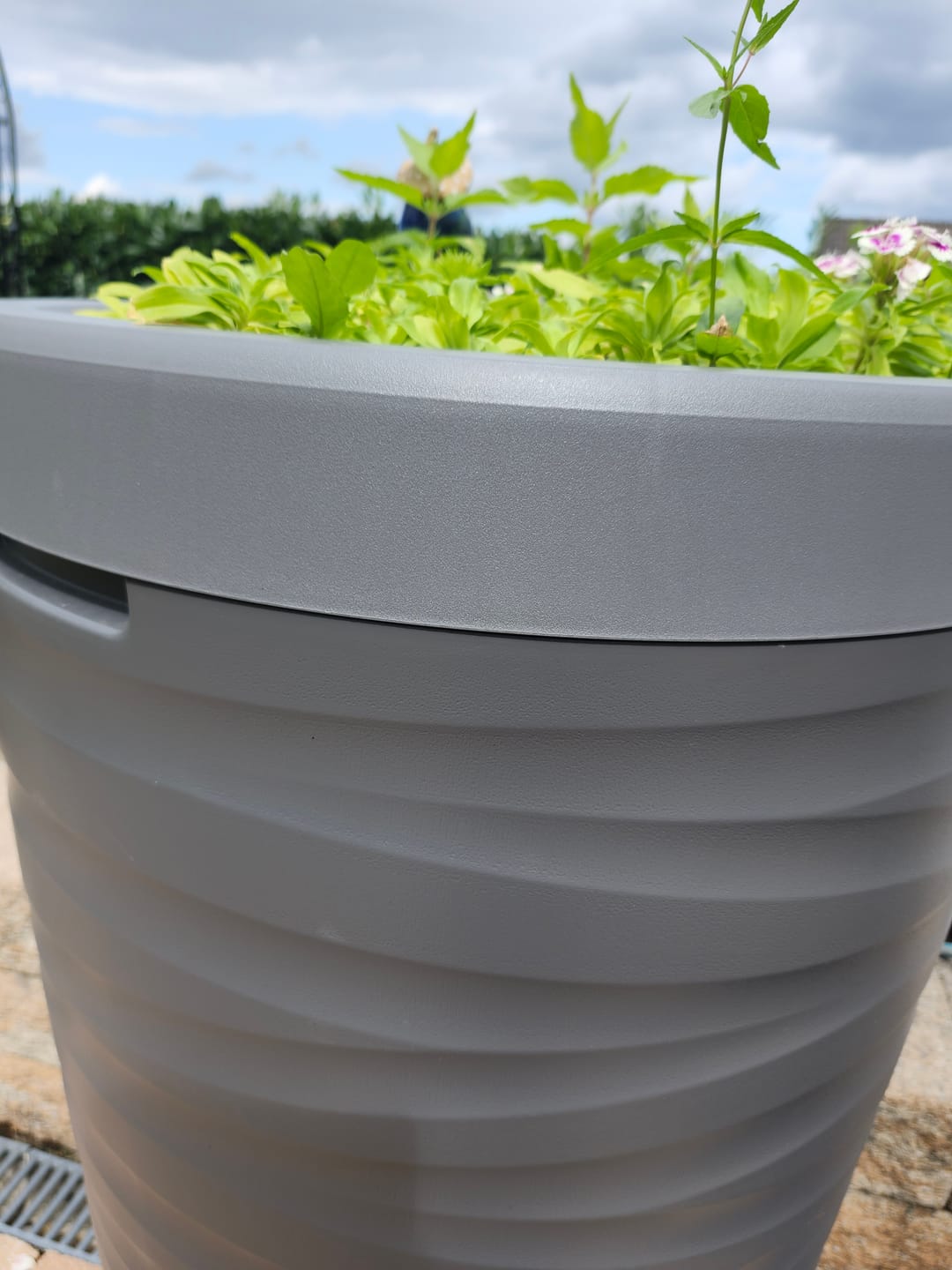 Customer photo review of Ersatzdeckel Regentonnen Wave (240L) und Decore (230L)