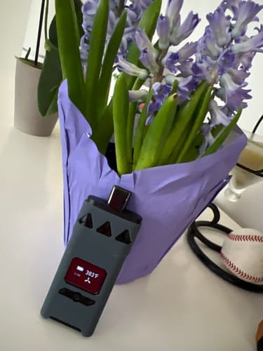 Customer photo review of AirVape X