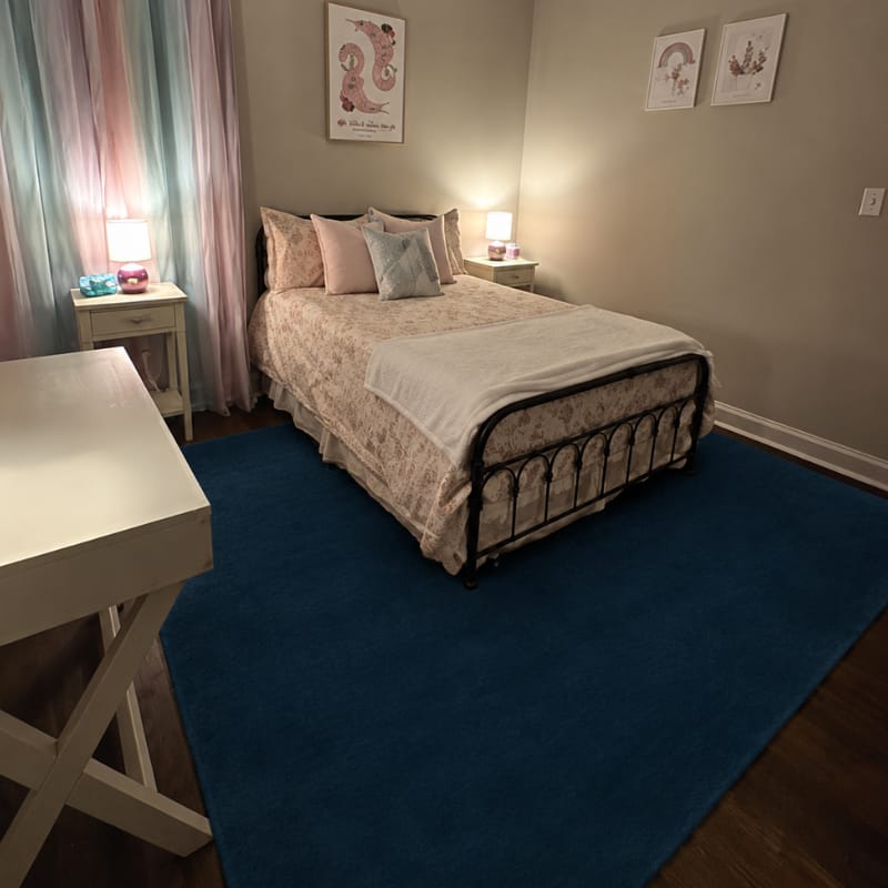 Customer photo review of Takumi Abstract Rug