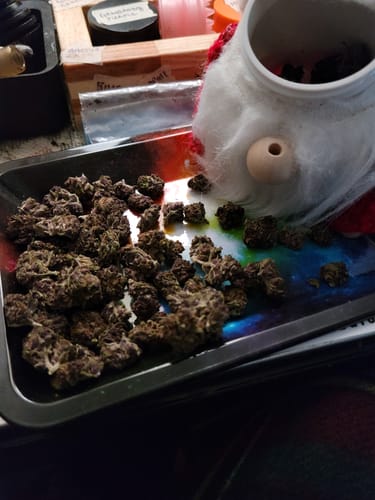 Granddaddy Purple - Minis - 14 Grams - Indica photo review