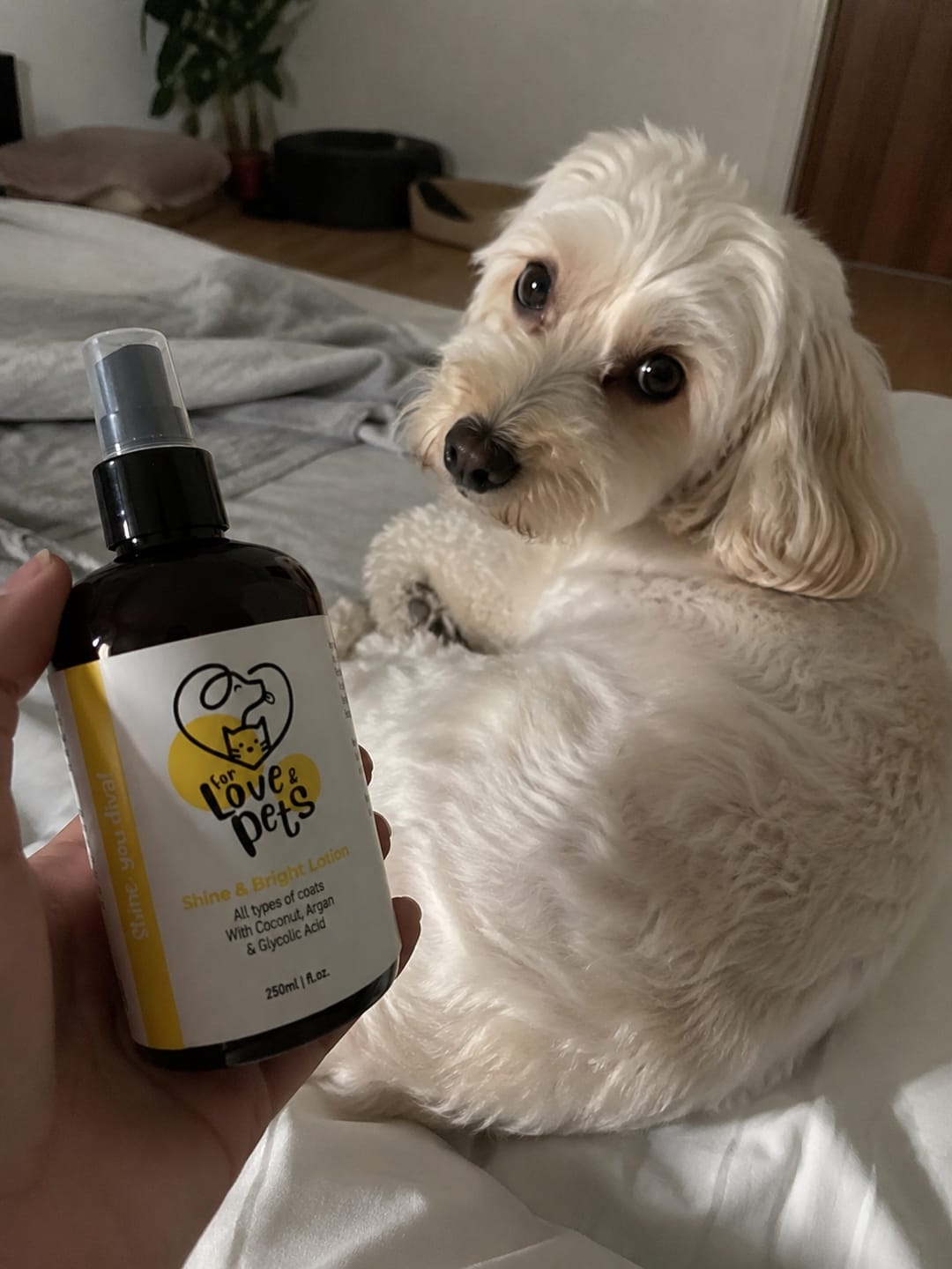 Customer photo review of Λοσιόν Λάμψης για Σκύλους & Γάτες 250ml , Απαλό και Λαμπερό Τρίχωμα Χωρίς Ξέβγαλμα