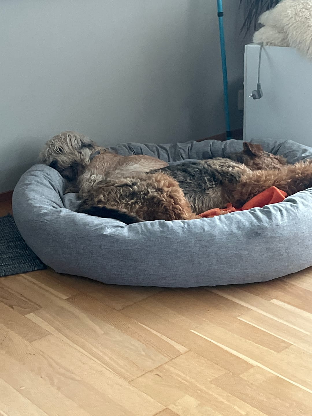 Customer photo review of CalmBed överdrag