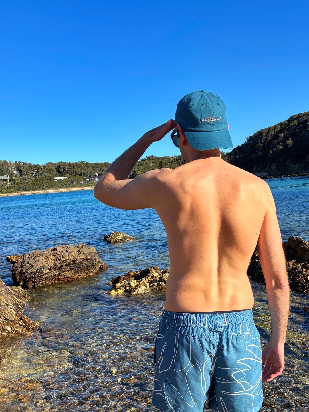 Customer photo review of Whale Shark Lid