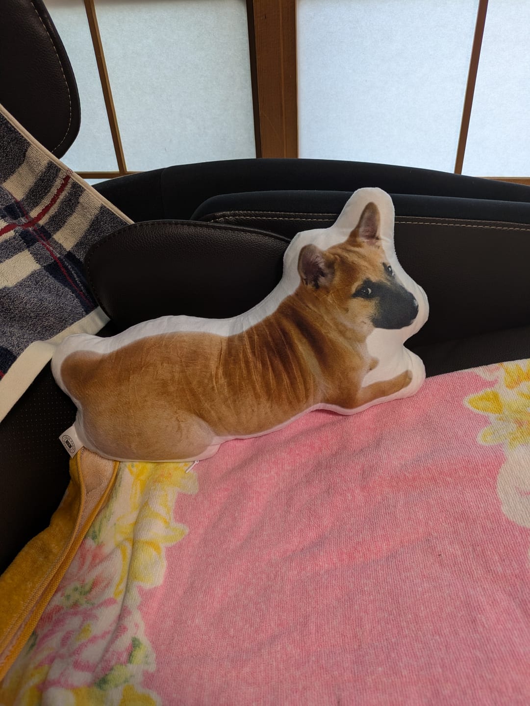Customer photo review of 世界にひとつだけ♪好きな写真で作るオーダーメイドクッション（20～80cm）