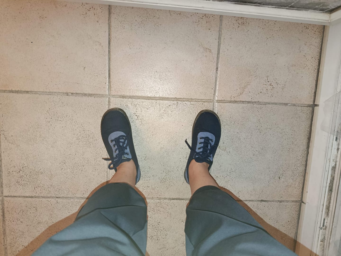 Customer photo review of Primi Bleue