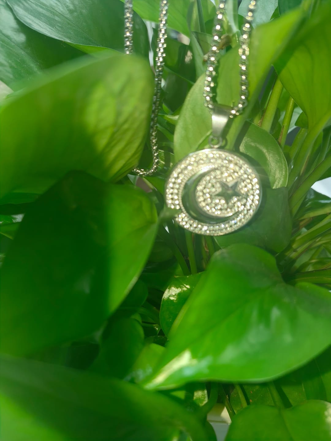 Customer photo review of HilalHaven Crescent & Star Crystal Disc Pendant Necklace