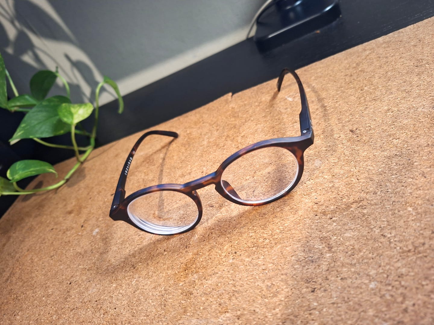 Customer photo review of Liam Tortoise Óptico