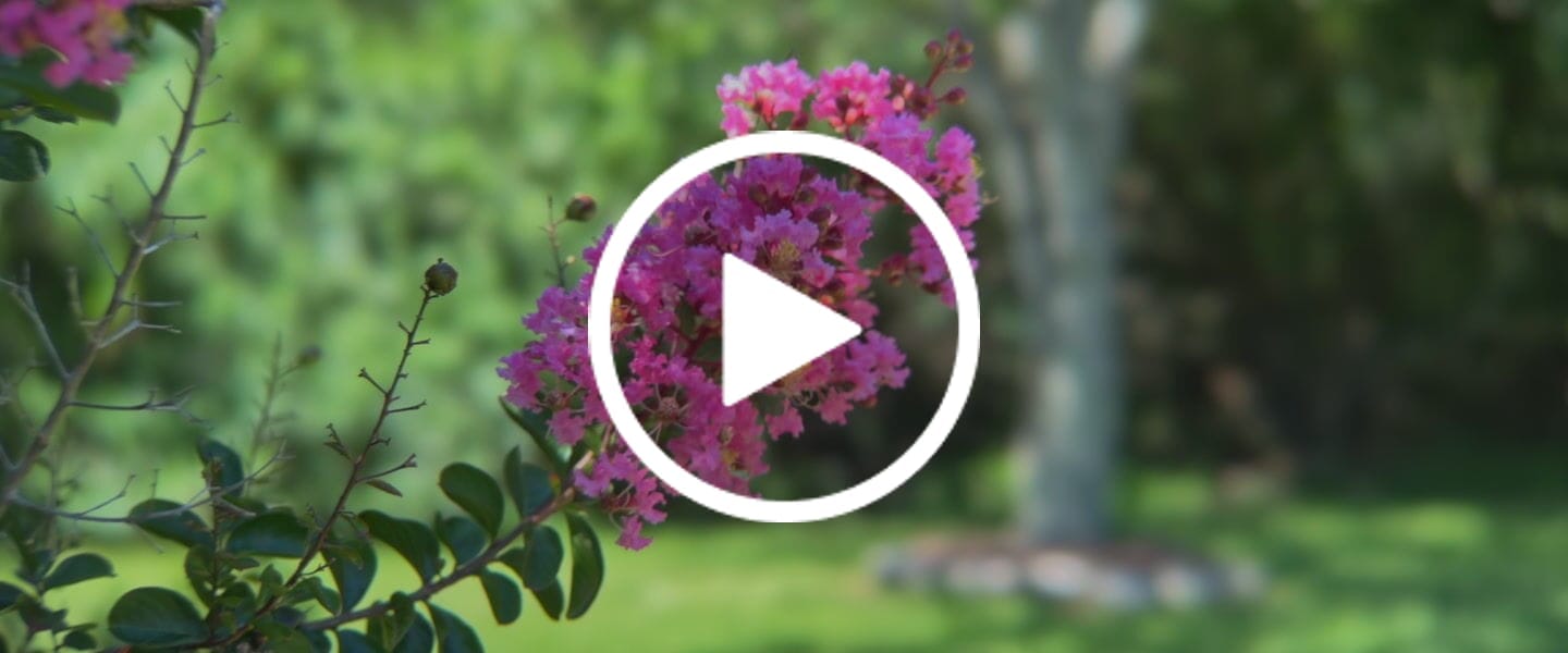 Customer video review of Beastgrip DOF Adapter MK3