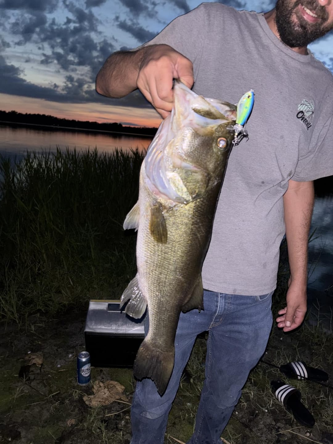 Customer photo review of PoPobait Topwater Bass Lure Plopper Lure | Double Blade