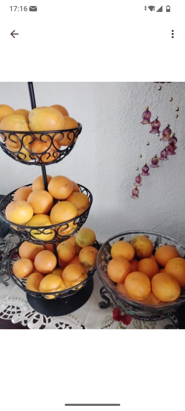 Customer photo review of Sommer-Saftorangen Bio aus Kreta