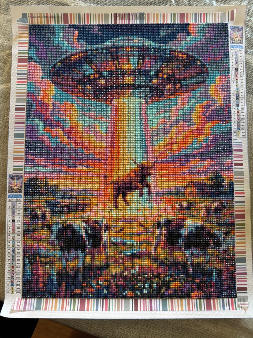 Customer photo review of UFO Cow Encounter (Diamond Painting)