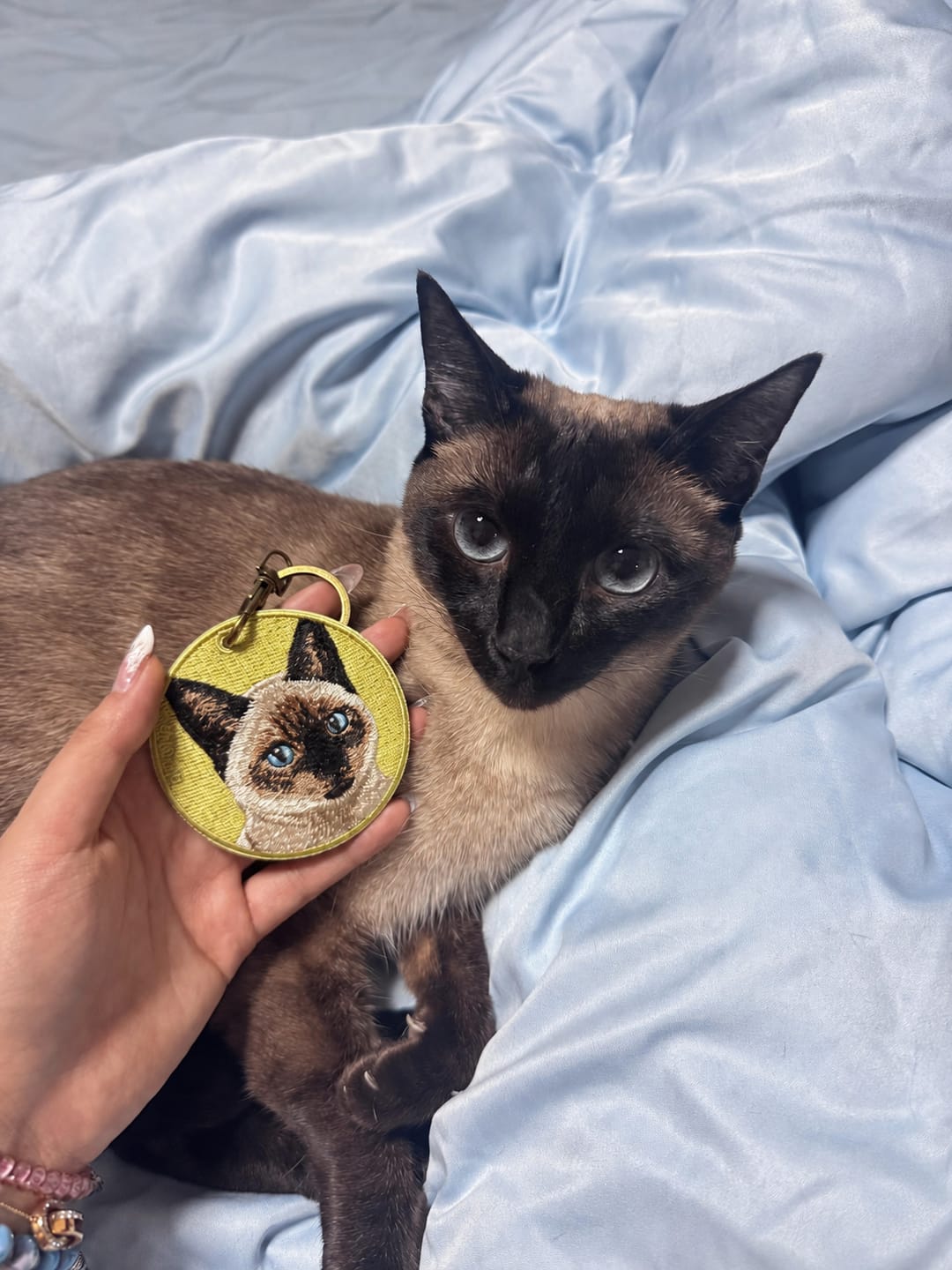 Customer photo review of Customized embroidered pet tags