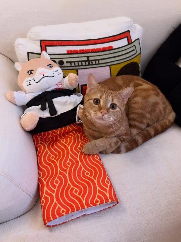Customer photo review of Peluche Réconfortante pour Chat – Un compagnon doux au quotidien