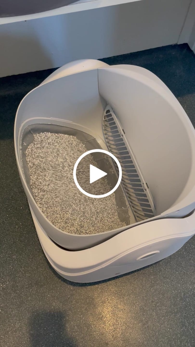 Customer video review of Petbuds™ Open One App Monitoring Self-Cleaning Litter Box with Open Design
