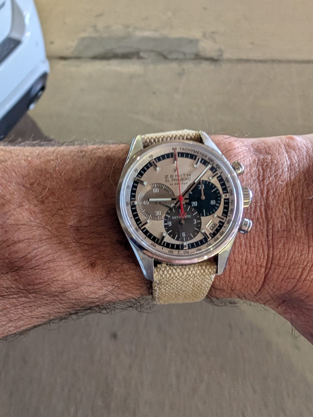 Customer photo review of Desert Tan Canvas