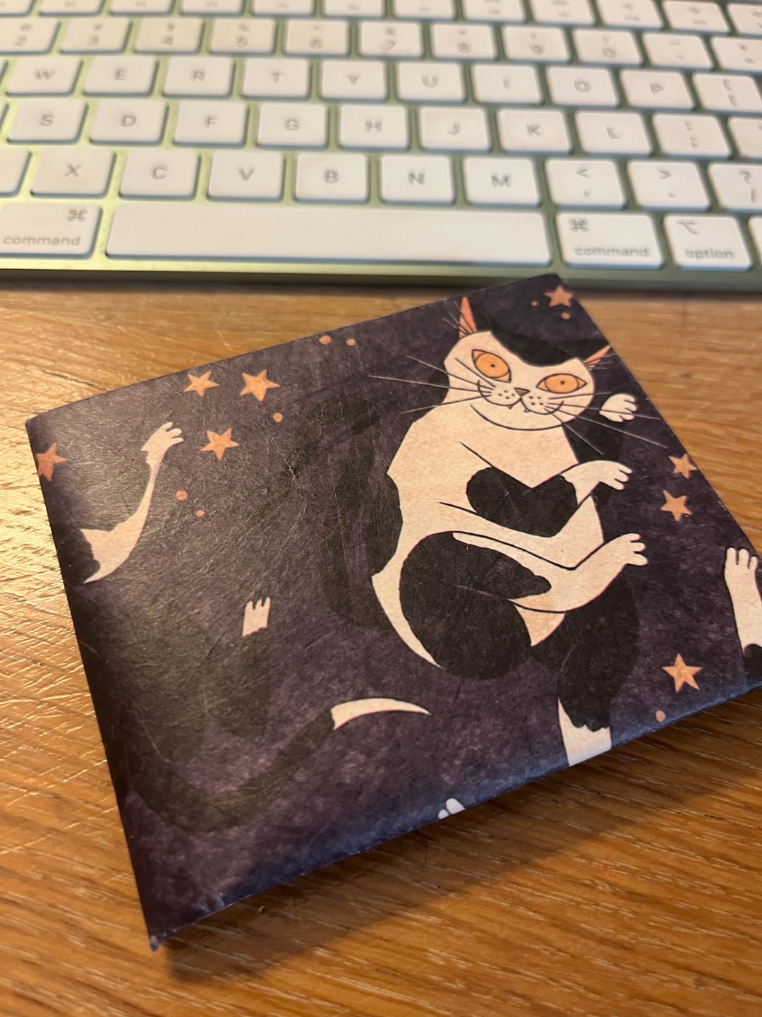 Customer photo review of The Song of the Jellicles
