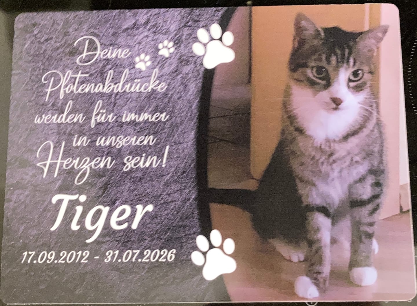 Customer photo review of Katzen Gedenktafel mit Foto & Spruch (UV- & Wetterfest)