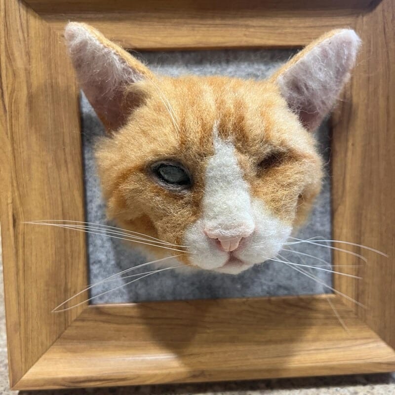 Customer photo review of Handmade felt pet head photo frame