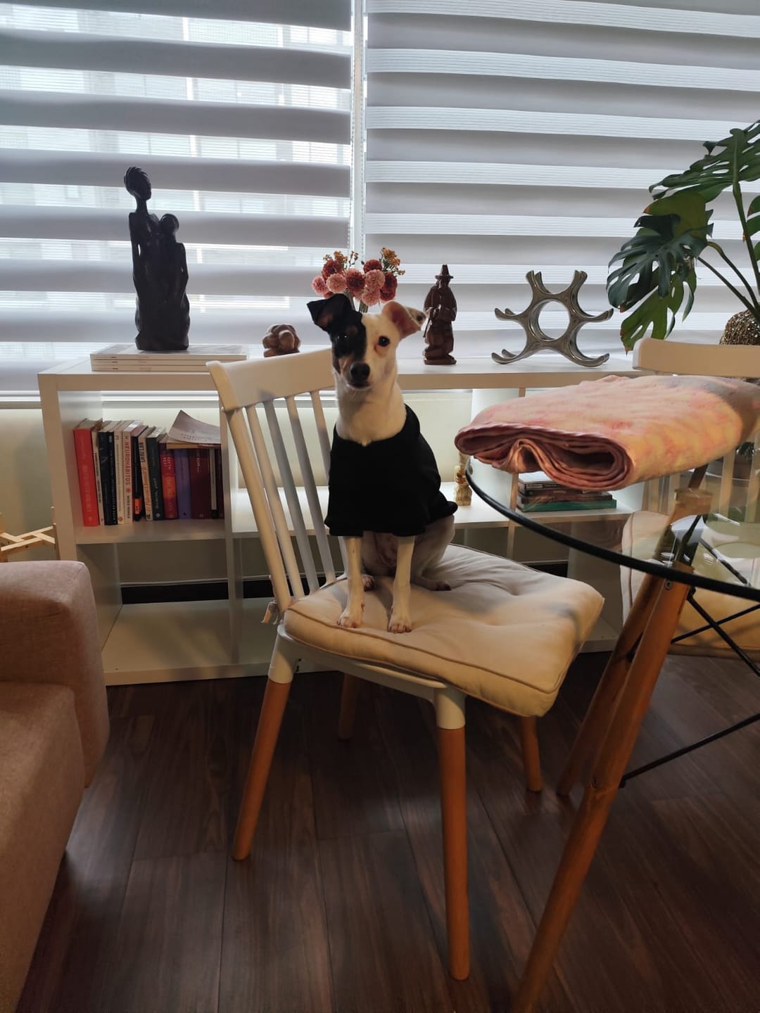 Customer photo review of Polera Térmica Power Stretch™