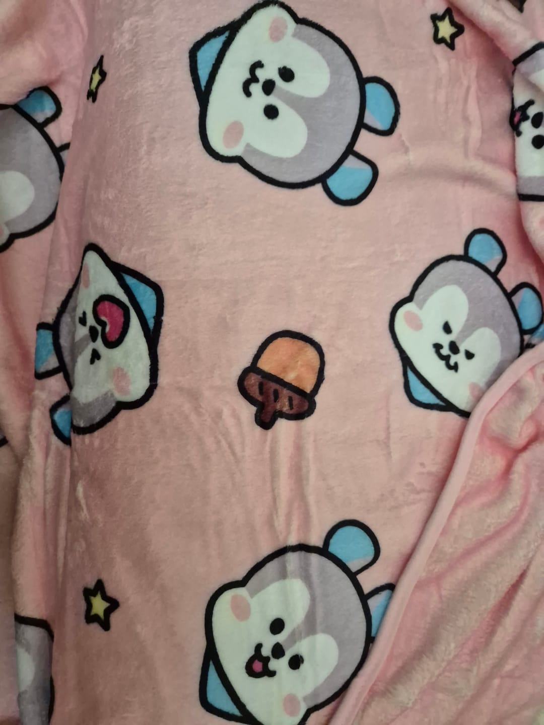 Customer photo review of BT21 - MININI BLANKET