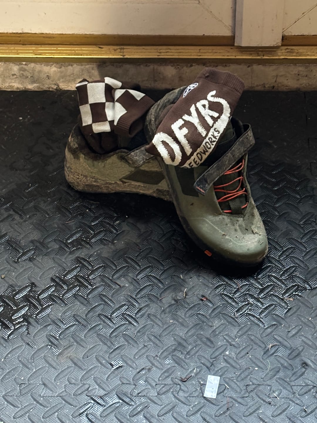 Customer photo review of 7 Pack | Lucky Dip | Compression Shred Socks