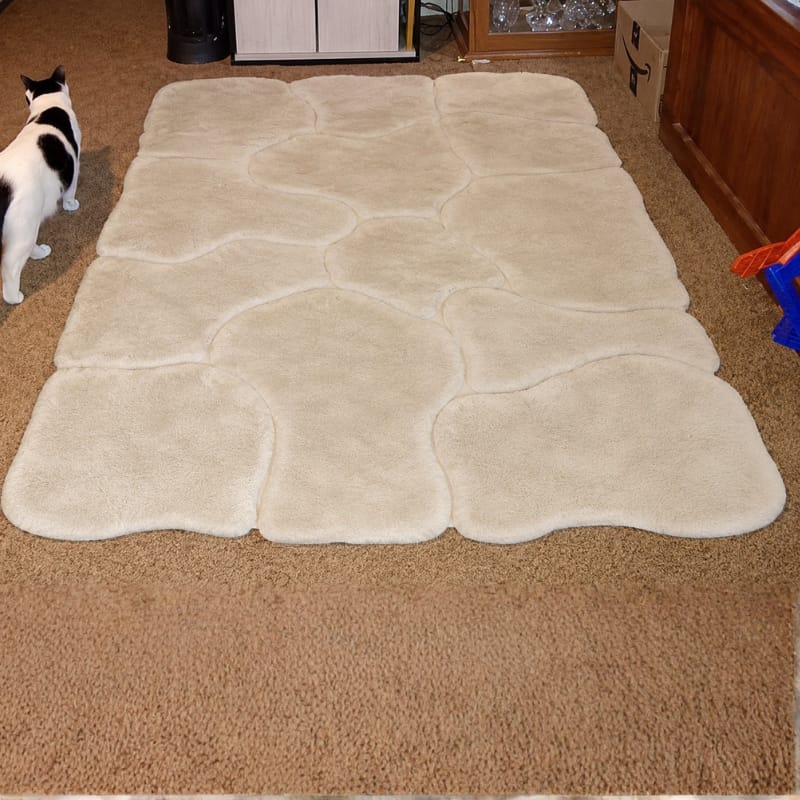 Customer photo review of Aoi Blue Rug