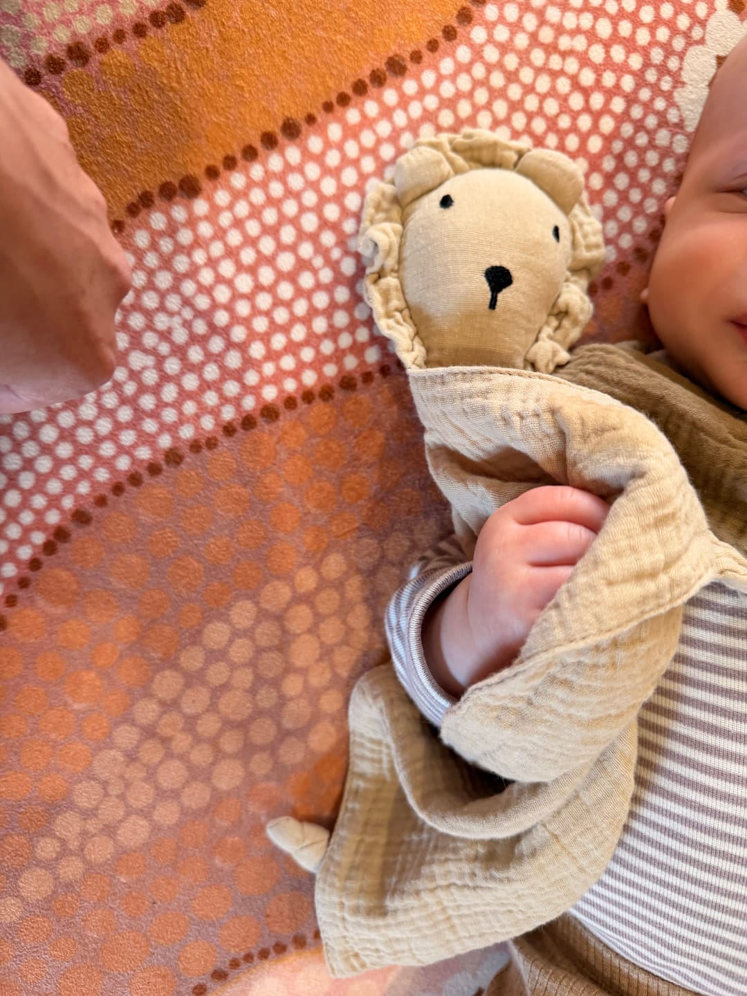 Customer photo review of Cotton Baby Comforter Leo The Lion in Ivory