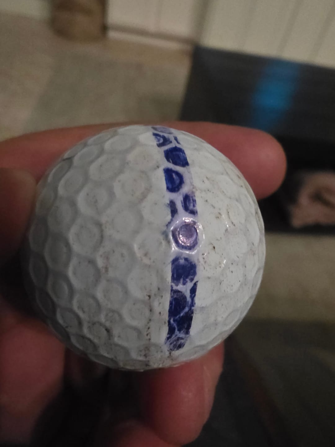 Customer photo review of Golf Pens