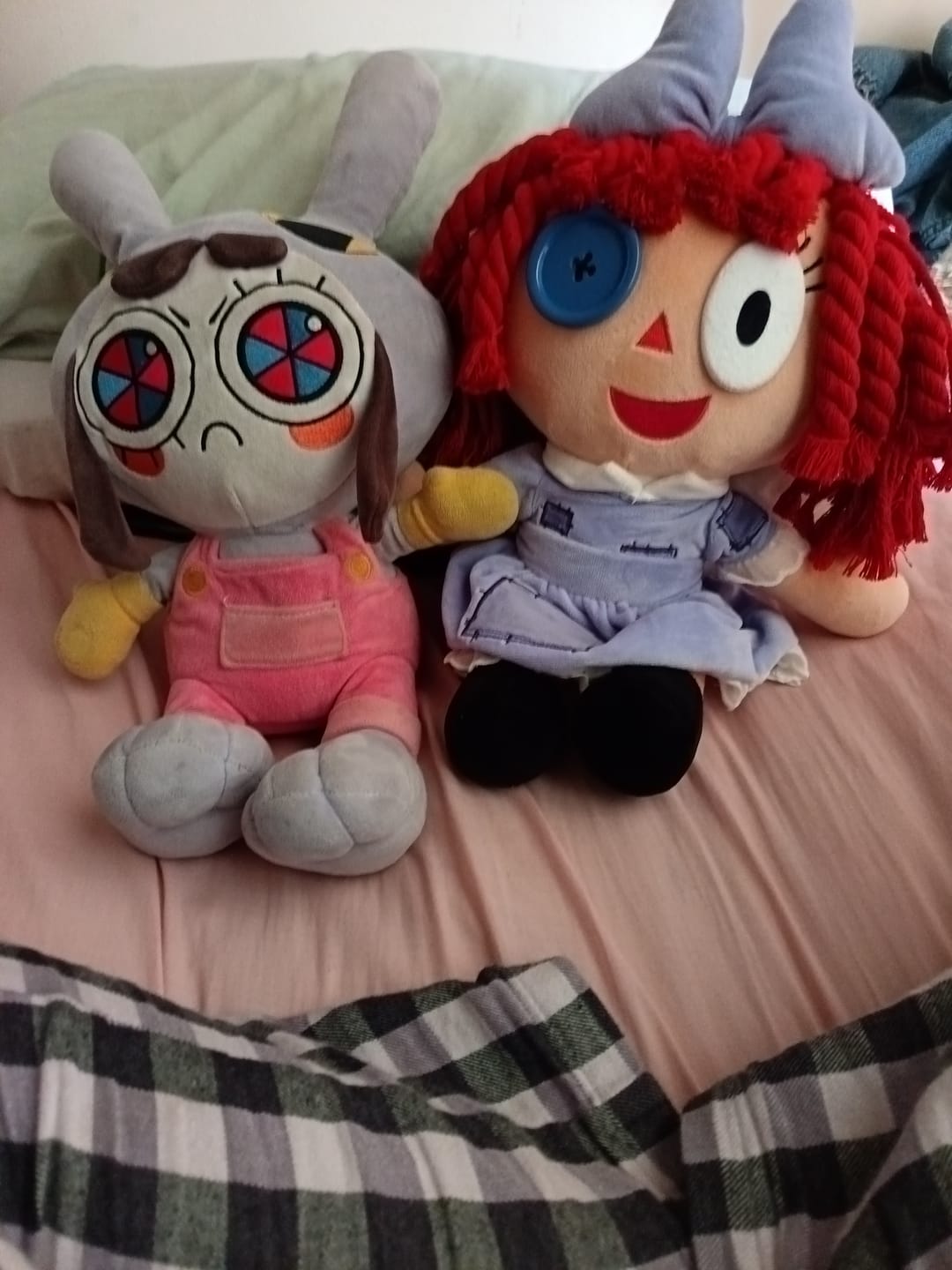 Customer photo review of Ragatha Plush