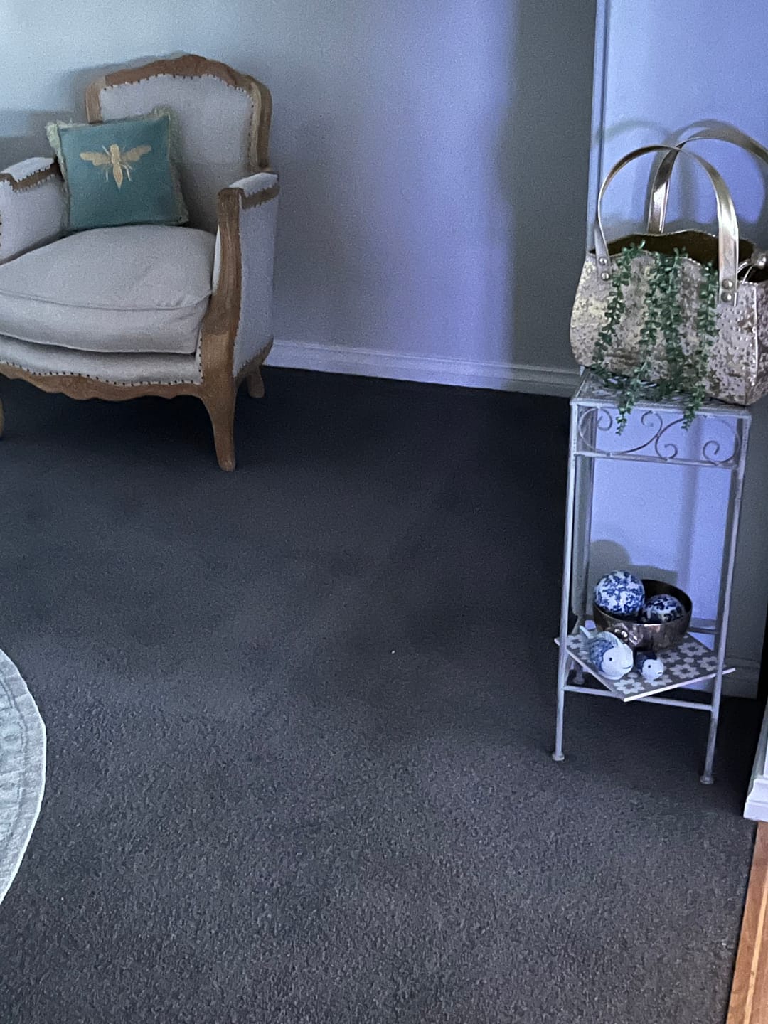Customer photo review of Zoé Handbag Planter, Antique Gold Star-Embossed Metal 32cm