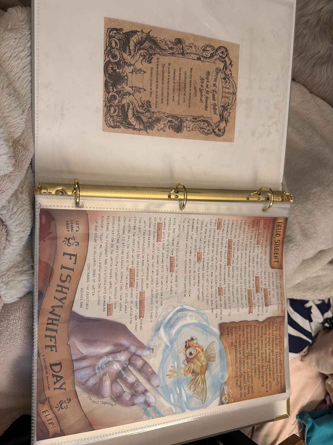 Customer photo review of Month to Month