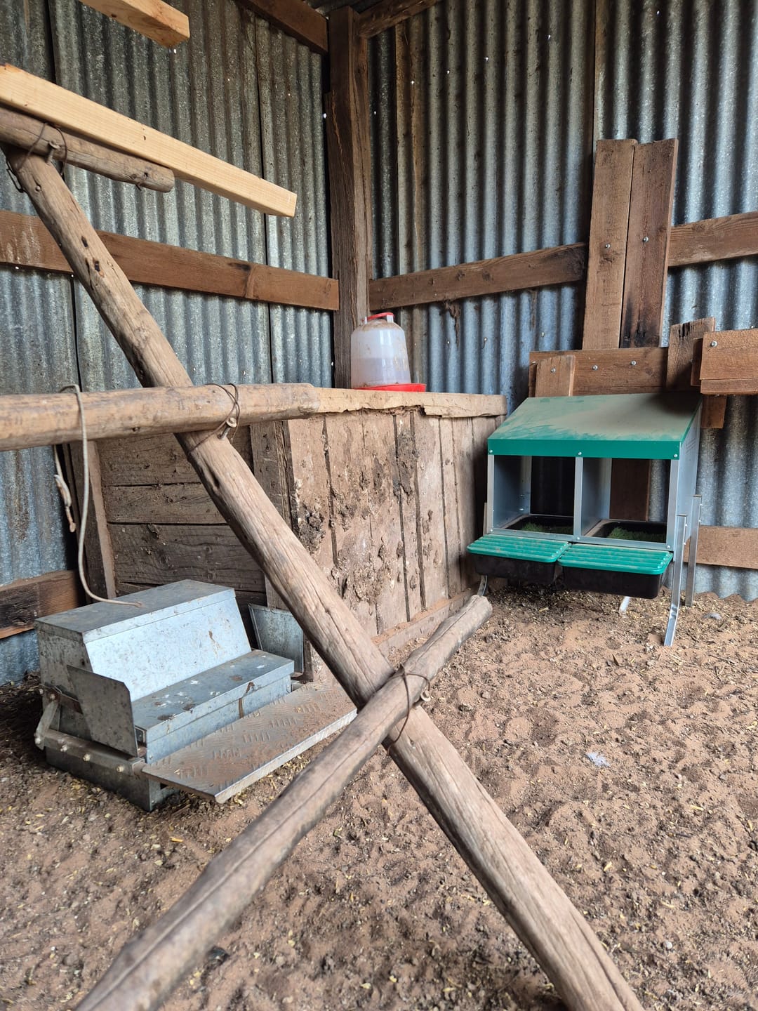Customer photo review of Pets Gear Metal Chicken Laying Nest Box Roll Away Green