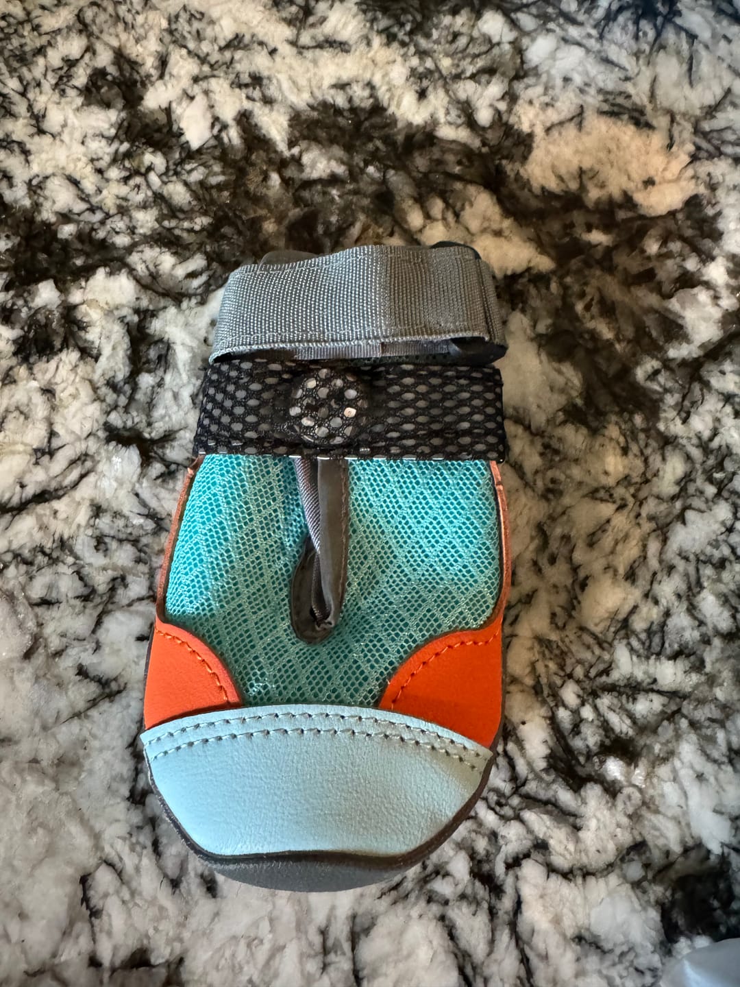 Customer photo review of GlowPaws™: LED boots for dogs