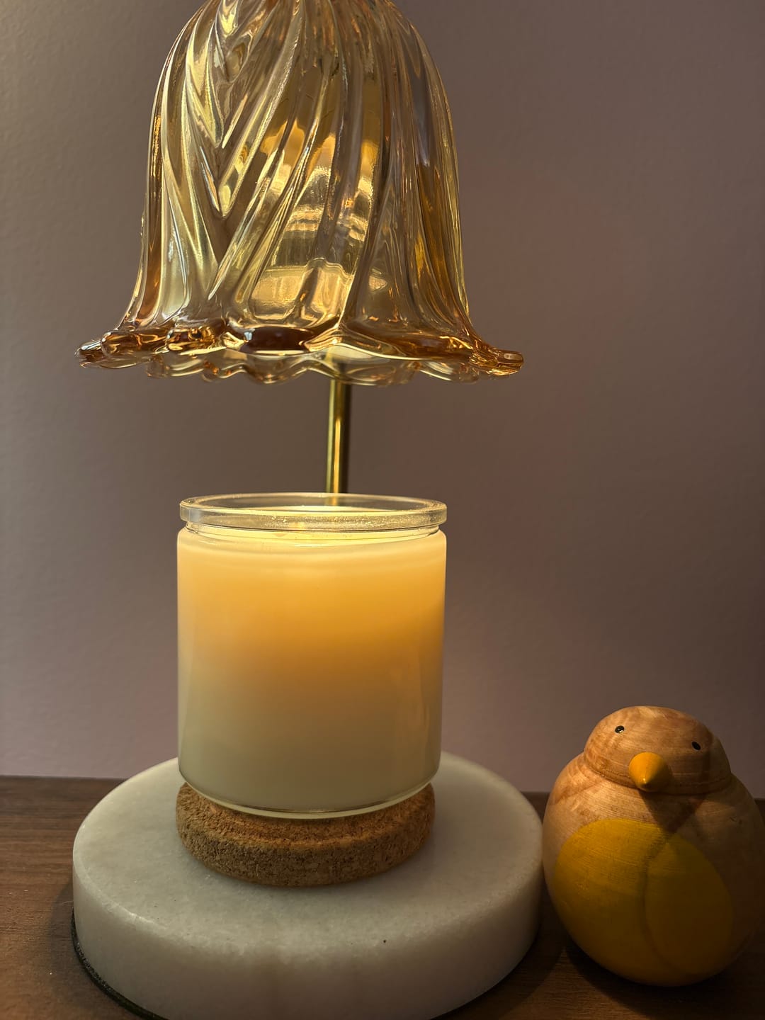 Customer photo review of Orange Orchid Wax Melt - Nontoxic