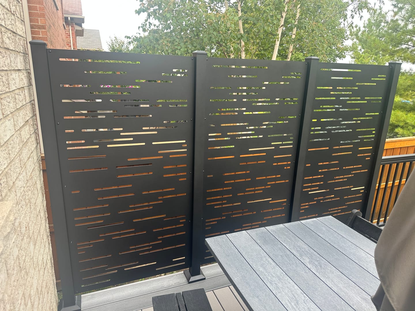 Customer photo review of Privacy Screen (Dash)