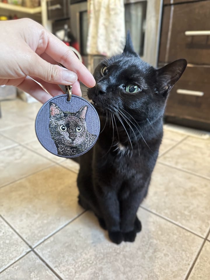 Customer photo review of Customized embroidered pet tags