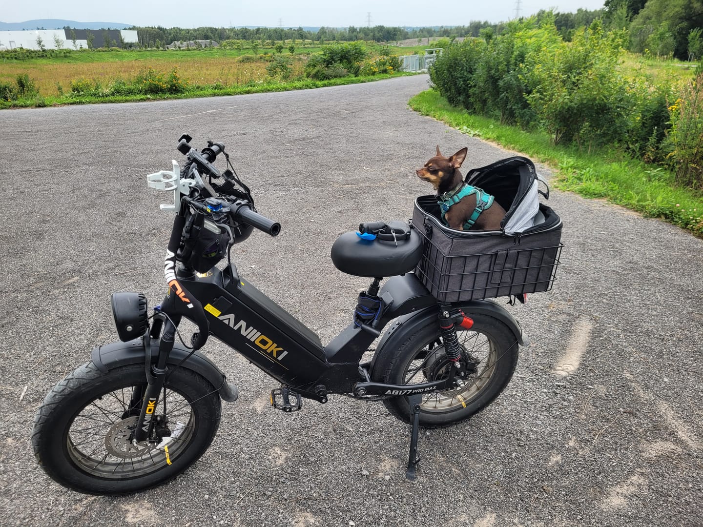Customer photo review of AQ177 Pro Max eBike